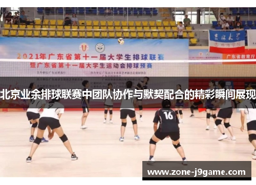 北京业余排球联赛中团队协作与默契配合的精彩瞬间展现