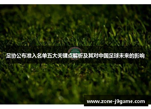 足协公布准入名单五大关键点解析及其对中国足球未来的影响